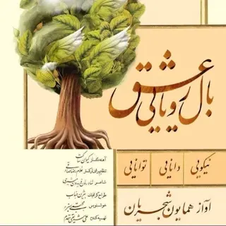 بال رویایی عشق