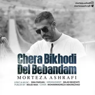 چرا بیخودی دل ببندم