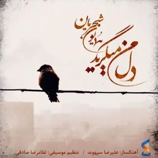 دل من میگرید