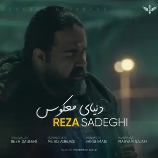 دنیای معکوس